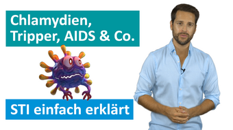 Startbild STI einfach erklärt