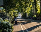 Eine Straße mit viel Begrünung durch Pflanzen.